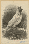 Image ID 820226