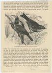 Image ID 820228