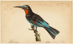 Image ID 820229