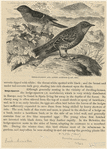 Image ID 820230