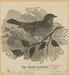 Image ID 820231