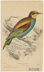 Image ID 820233