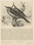 Image ID 820236