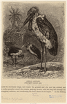 Image ID 820243