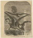Image ID 820247