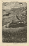 Image ID 820248