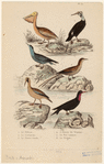 Image ID 820258