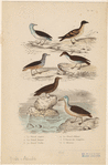 Image ID 820259