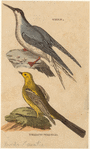 Image ID 820260