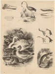 Image ID 820263
