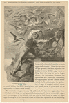 Image ID 820280