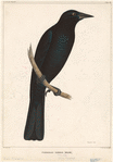 Image ID 820282