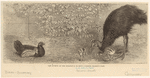 Image ID 820289