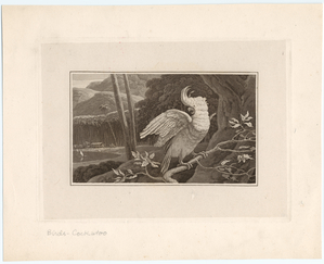 Image ID 820299