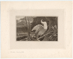 Image ID 820299