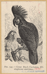 Image ID 820302