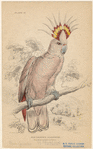 Image ID 820303