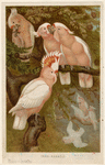 Image ID 820304