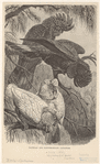 Image ID 820305