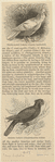 Image ID 820307
