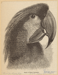 Image ID 820308