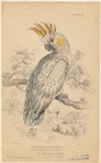 Image ID 820310