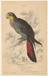 Image ID 820312