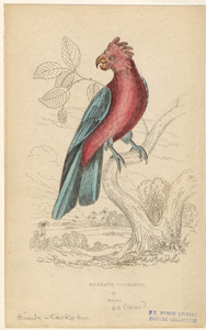Image ID 820313