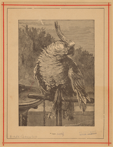 Image ID 820316