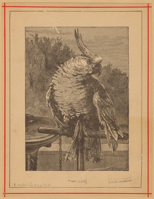 Image ID 820316
