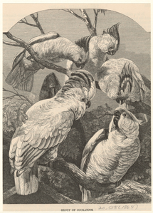 Image ID 820318