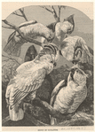 Image ID 820318