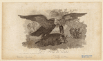 Image ID 820320