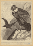 Image ID 820322