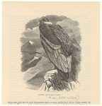 Image ID 820324