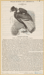 Image ID 820327