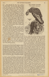 Image ID 820328