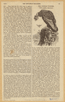 Image ID 820328