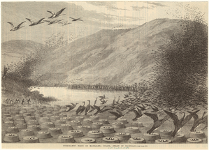 Image ID 820329