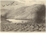 Image ID 820329