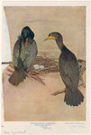 Image ID 820334