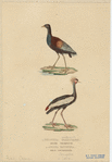 Image ID 820345