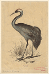 Image ID 820346