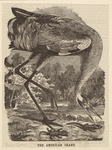 Image ID 820347