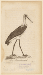 Image ID 820348