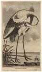 Image ID 820350
