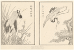 Image ID 820355