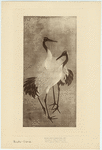 Image ID 820356