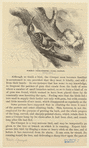 Image ID 820358