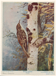 Image ID 820359